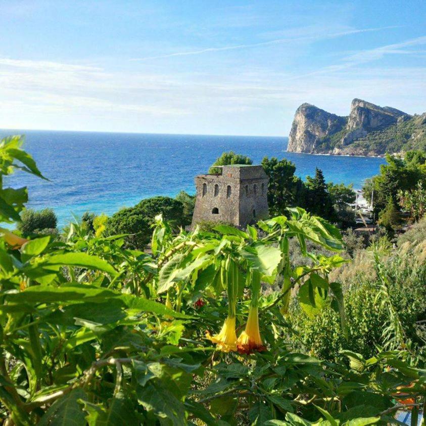 Campingplatz Villaggio Nettuno 3*